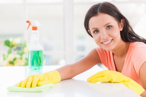 Professional upholstery cleaning in a Canning Town home