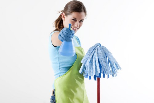 Carpet cleaning terms and conditions introduction