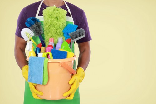 Professional steam carpet cleaning in a Canning Town home