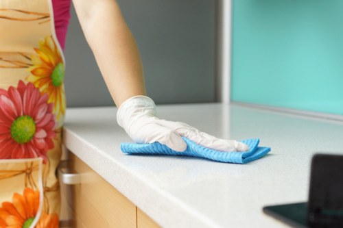 Professional pet stain odour removal on a carpet in Canning Town