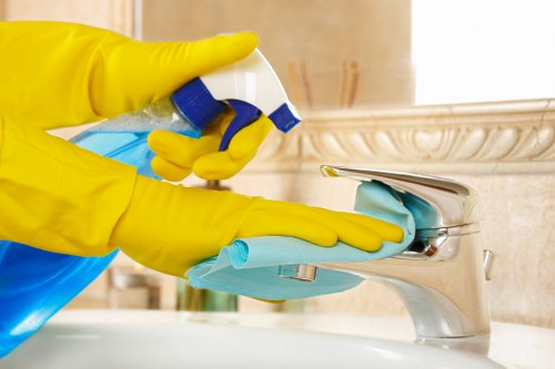 Professional sofa cleaning in a Canning Town living room