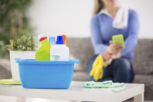 Carpet cleaning in a Canning Town home interior