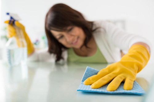 Detailed carpet cleaning process used by Canning Town carpet cleaners
