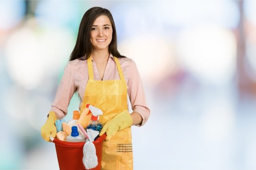 Freshly cleaned carpet representing About Us Canning Town Carpet Cleaners