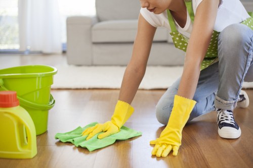 Deep cleaning treatment for pet urine odour in a home interior